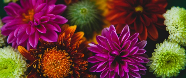 运动体验 运动体验