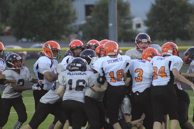 多特蒙德加 多特蒙德加